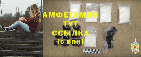 мдпв Вязьма