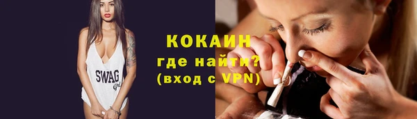 мдпв Вязьма