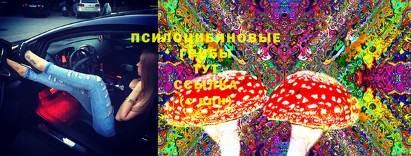 мет Вяземский