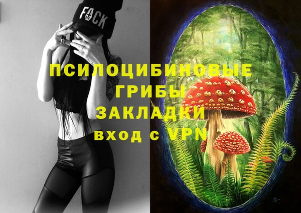 мет Вяземский
