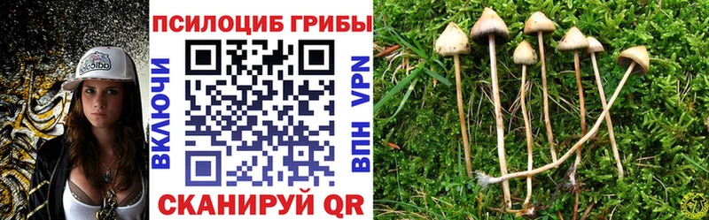Купить  Переславль-Залесский  Галлюциногенные грибы Magic Shrooms 